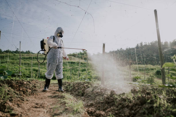 Best Pest Control Treatment  in Star, NC
