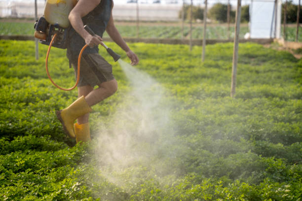 Best Best Pest Control Companies  in Star, NC