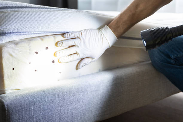 Professional Pest Control in Star, NC