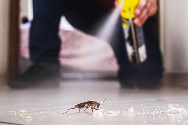 Best Termite Control Services  in Star, NC