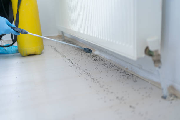 Best Best Pest Control Companies  in Star, NC