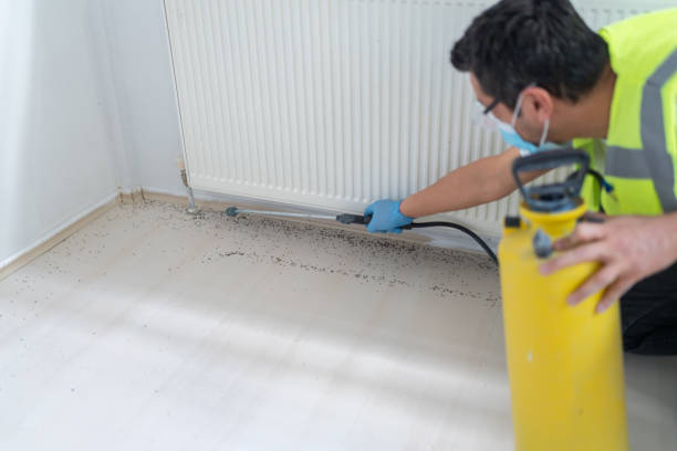Best Flea Control Services  in Star, NC