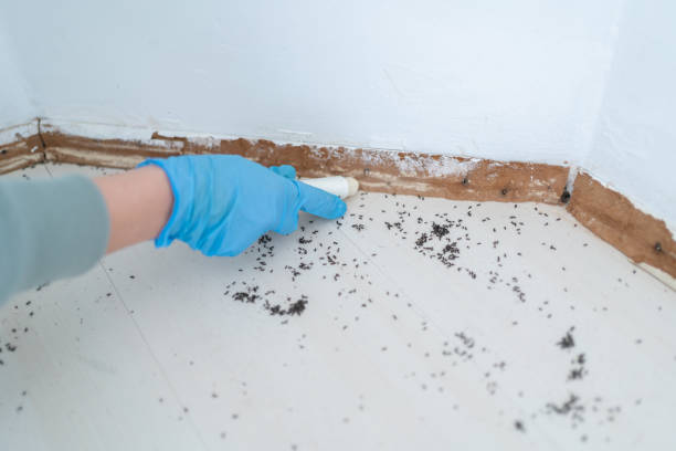 Best Pest Removal Services  in Star, NC