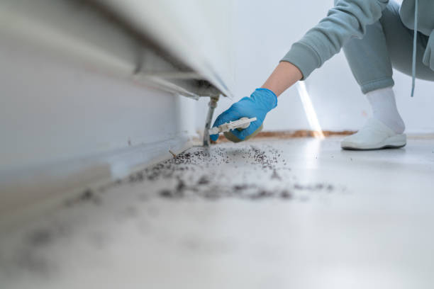 Best Bed Bug Extermination  in Star, NC